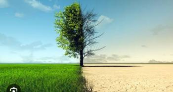 Journee Mondiale de l'environnement