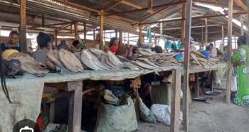 Poisson sale au marche