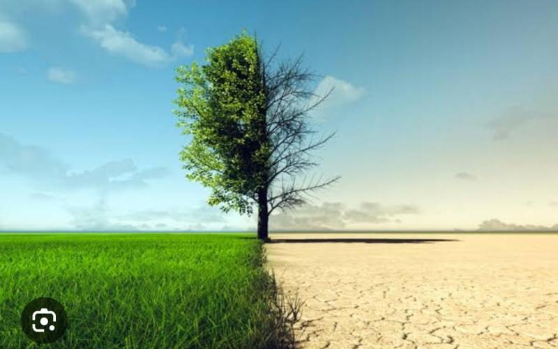 Journee Mondiale de l'environnement